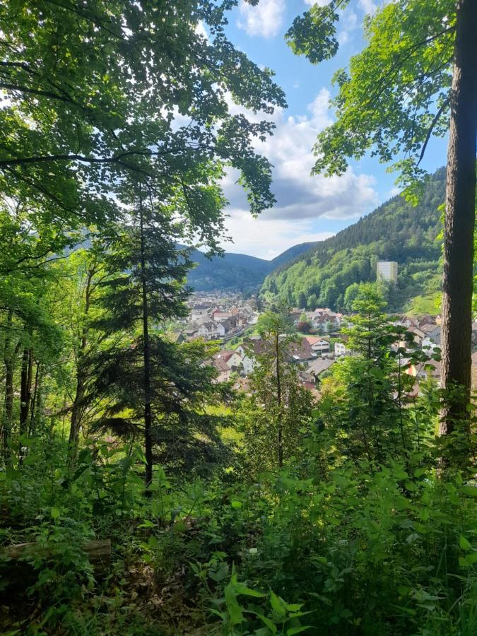Ferienwohnung Am Enzufer Mit Balkon In Bad Wildbad Im Schwarzwald Zewnętrze zdjęcie